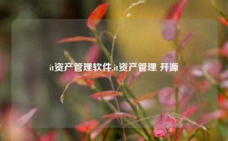 it资产管理软件,it资产管理 开源