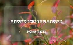 向日葵远程控制软件官网,向日葵远程控制软件官网