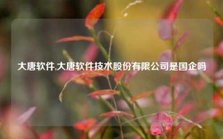 大唐软件,大唐软件技术股份有限公司是国企吗