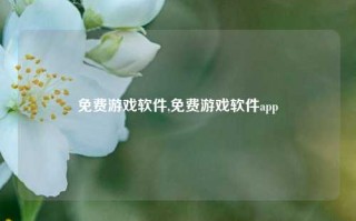 免费游戏软件,免费游戏软件app