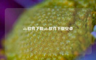 obs软件下载,obs软件下载安卓