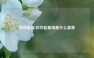 软件配置,软件配置项是什么意思