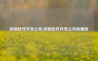 深圳软件开发公司,深圳软件开发公司有哪些