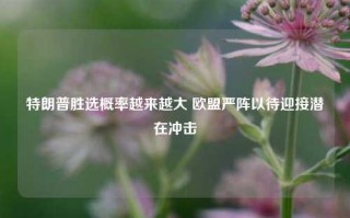 特朗普胜选概率越来越大 欧盟严阵以待迎接潜在冲击