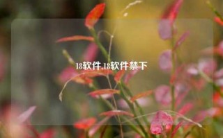 18软件,18软件禁下