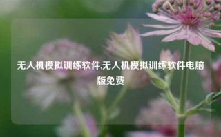 无人机模拟训练软件,无人机模拟训练软件电脑版免费