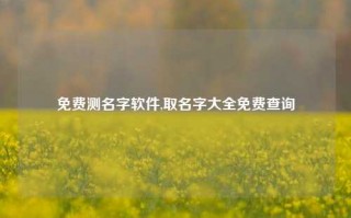 免费测名字软件,取名字大全免费查询