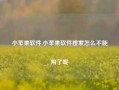 小苹果软件,小苹果软件搜索怎么不能用了呢