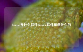 lumion是什么软件,lumion软件是做什么的