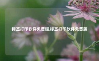 标签打印软件免费版,标签打印软件免费版