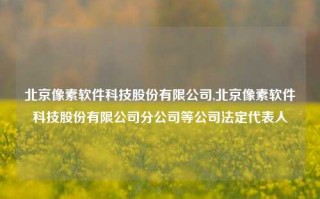 北京像素软件科技股份有限公司,北京像素软件科技股份有限公司分公司等公司法定代表人