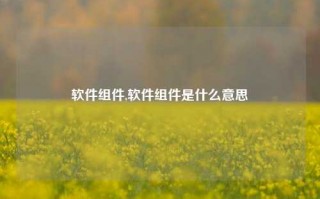 软件组件,软件组件是什么意思