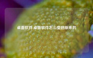 桌面软件,桌面软件怎么变回原来的