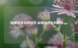 加微信好友的软件,加微信好友的软件app