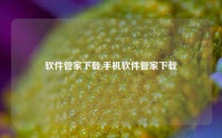 软件管家下载,手机软件管家下载