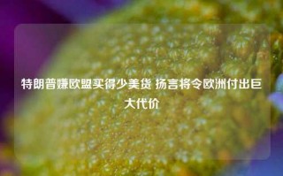 特朗普嫌欧盟买得少美货 扬言将令欧洲付出巨大代价