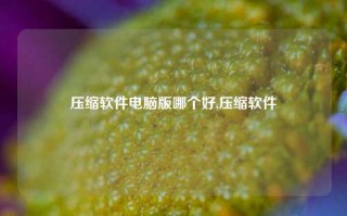 压缩软件电脑版哪个好,压缩软件