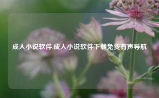 成人小说软件,成人小说软件下载免费有声导航