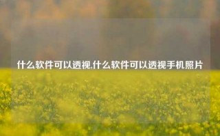 什么软件可以透视,什么软件可以透视手机照片