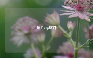 黄片app软件