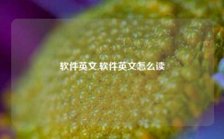 软件英文,软件英文怎么读