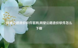 同望公路造价软件官网,同望公路造价软件怎么下载