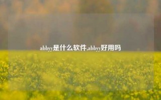 abbyy是什么软件,abbyy好用吗