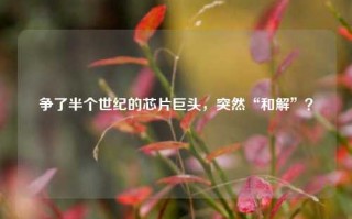 争了半个世纪的芯片巨头，突然“和解”？