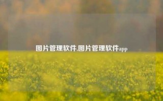 图片管理软件,图片管理软件app