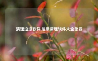 清理垃圾软件,垃圾清理软件大全免费