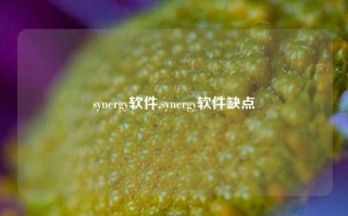 synergy软件,synergy软件缺点