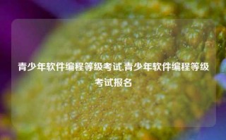 青少年软件编程等级考试,青少年软件编程等级考试报名