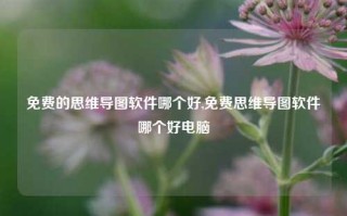 免费的思维导图软件哪个好,免费思维导图软件哪个好电脑