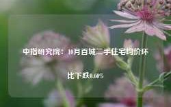 中指研究院：10月百城二手住宅均价环比下跌0.60%