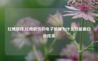 红烛软件,红烛软件的电子教鞭为什么只能画白色线条