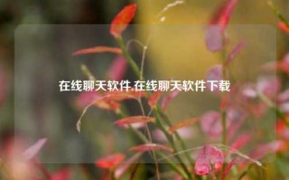 在线聊天软件,在线聊天软件下载