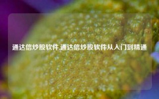 通达信炒股软件,通达信炒股软件从入门到精通