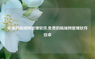 免费的局域网管理软件,免费的局域网管理软件安卓