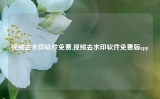 视频去水印软件免费,视频去水印软件免费版app