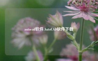 autocad软件,AutoCAD软件下载