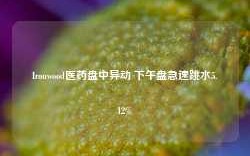 Ironwood医药盘中异动 下午盘急速跳水5.12%