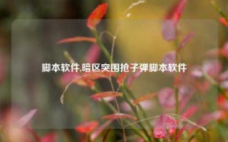 脚本软件,暗区突围抢子弹脚本软件