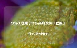 软件工程属于什么类别,软件工程属于什么类别考研