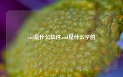 cad是什么软件,cad是什么学的