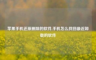 苹果手机还原删除的软件,手机怎么找回最近卸载的软件