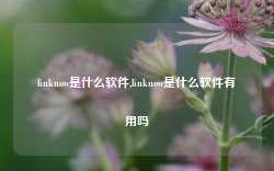 linknow是什么软件,linknow是什么软件有用吗