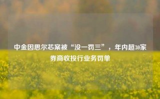 中金因思尔芯案被“没一罚三”，年内超30家券商收投行业务罚单