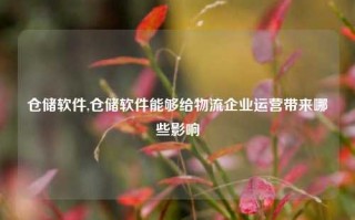 仓储软件,仓储软件能够给物流企业运营带来哪些影响