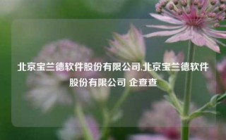 北京宝兰德软件股份有限公司,北京宝兰德软件股份有限公司 企查查