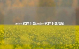 project软件下载,project软件下载电脑